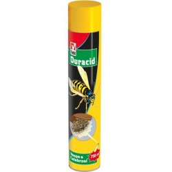 Wasps spray - hornets